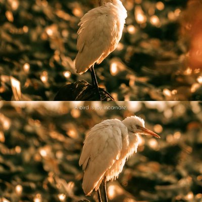 Golden hours