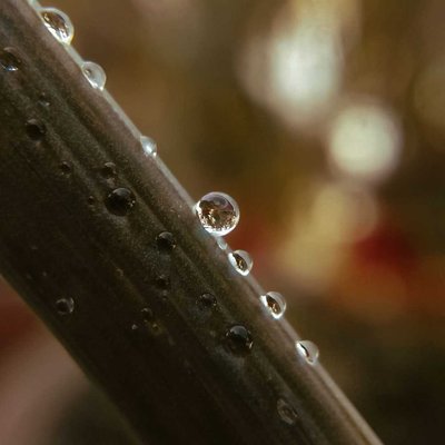 Those waterdrops 💙