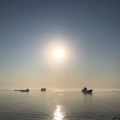 my morning view