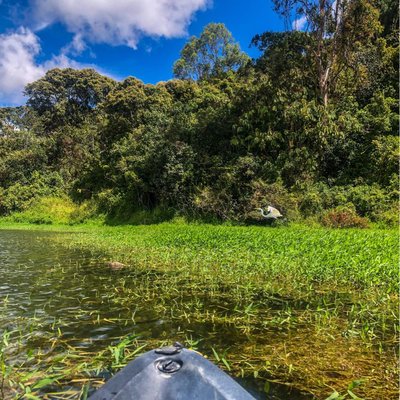 🇨🇴 Guatapé, Columbia