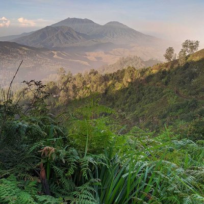 Mount Raung and Suket