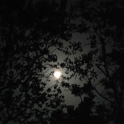 Full Moon 