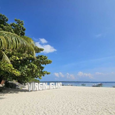 The virgin island