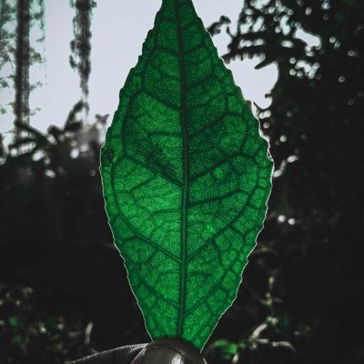 moody Green 