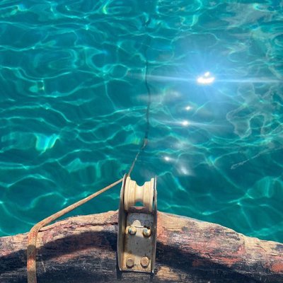 #Nature “Live in the sunshine, swim the sea, drink the wild air.” R.W.E. 💙🤍💚