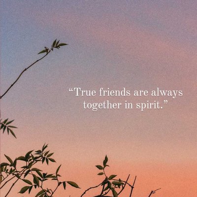 best friend ❣️