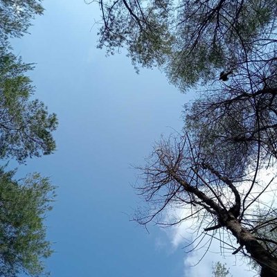 Langit Biru