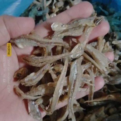 ikan bilis/ikan teri