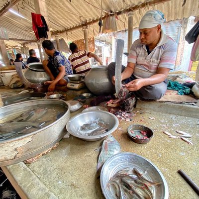 A Fish Seller