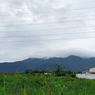 Pagi di Sini
