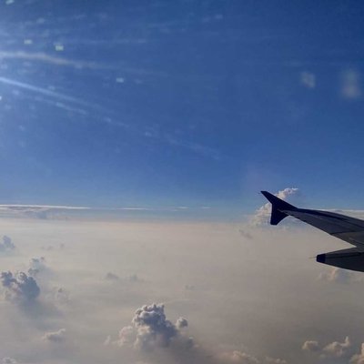 fly high 