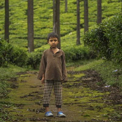 The little one in a tea garden.