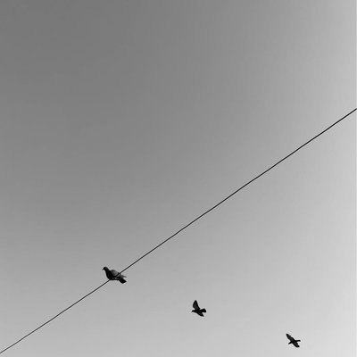wherever you go, I will follow. 