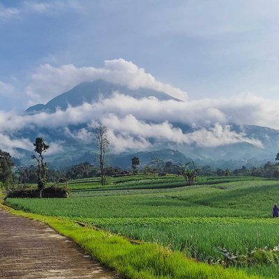 Negeri Sayur