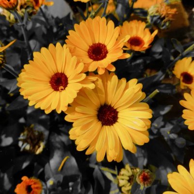 unsplash photography 