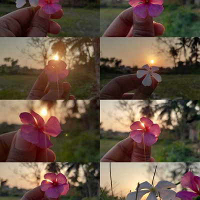 sunset 🌞