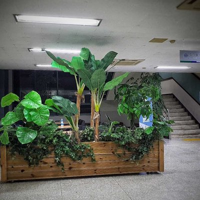 school of biological science, hoseo university 