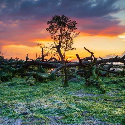 masih dengan sunset