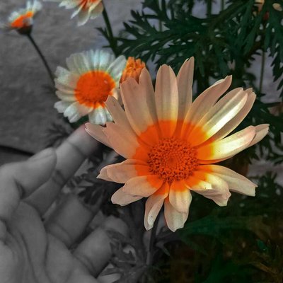 Colour splash 🌸 #PindleIndia