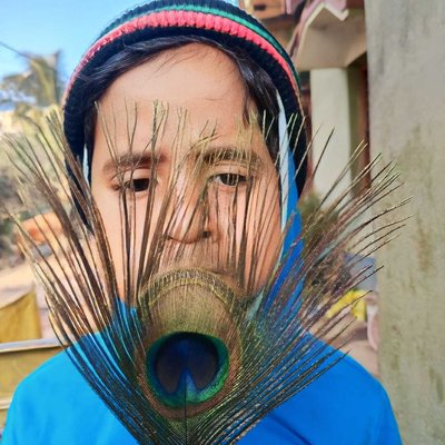peacock Feathers