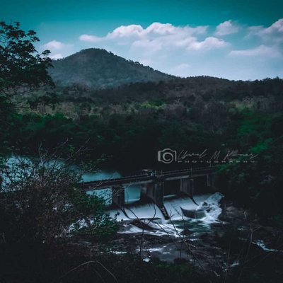 Nature Photography