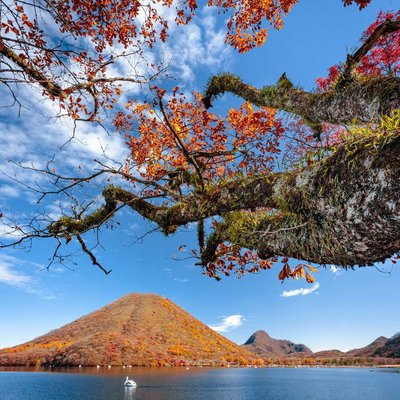 bingkai alam gunung haruna di musim gugur