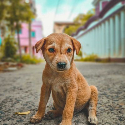 Adorable ❤️