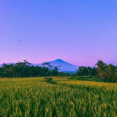 Gunung slamet