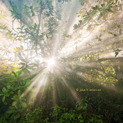 Tips Memotret RoL atau Rays of Light