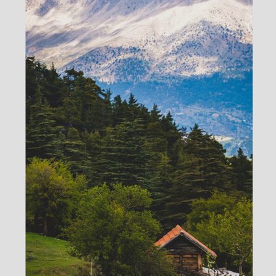Away from the city🌲🪵⛰️