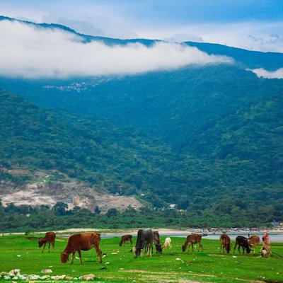 beauty of Bangladesh 