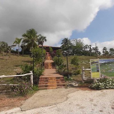 Mirador del Valle de los Ingenios
