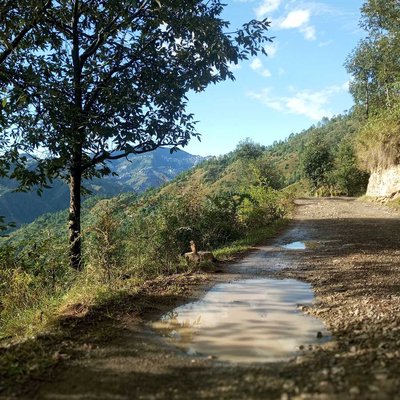 VILLEGE🥰