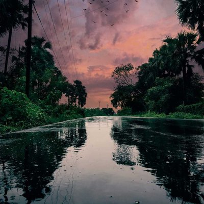 colors of nature
