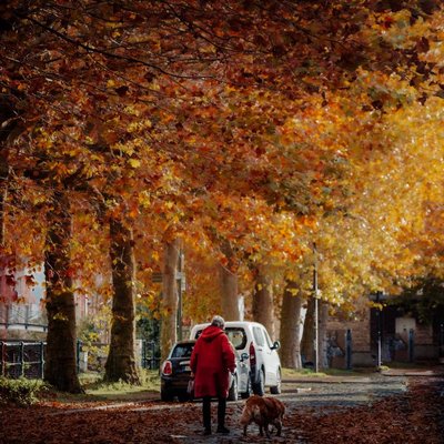 Ghent in Autumn ❤️