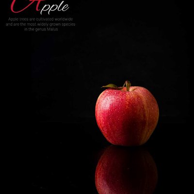 ✨ An apple a day keeps anyone away if you throw it hard enou