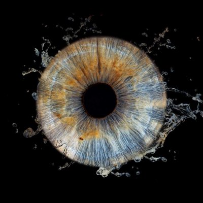 My eye! 