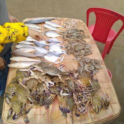 Any Sea Food Lover Here?