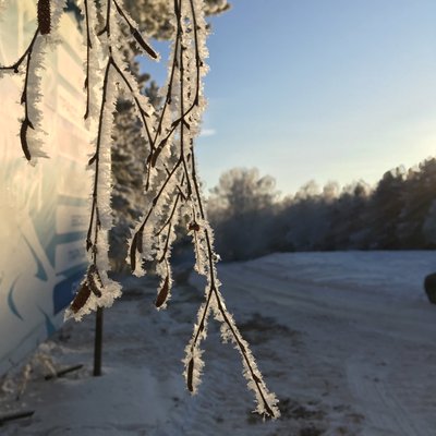 frost