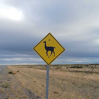 Ruta 40