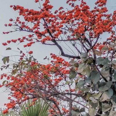 Purulia where Autumn 'falls' 