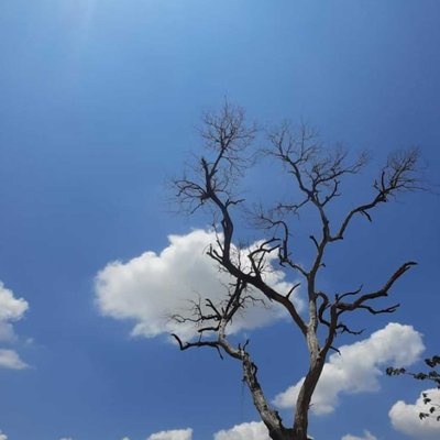 blue sky