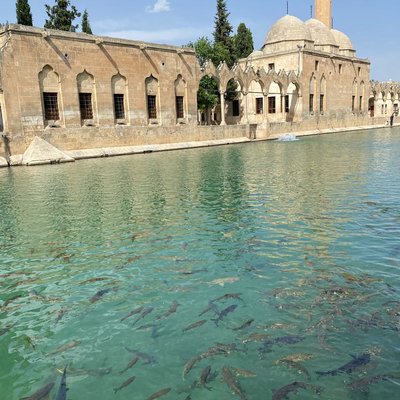 balıklı göl cami