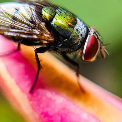 check out this new Macro post 