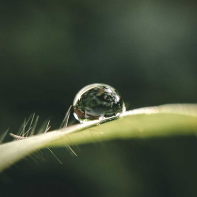 Macro