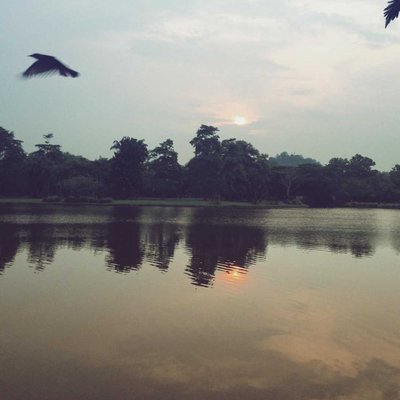 Jogging Lake View
