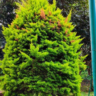 Nature 🌲🌲🌲