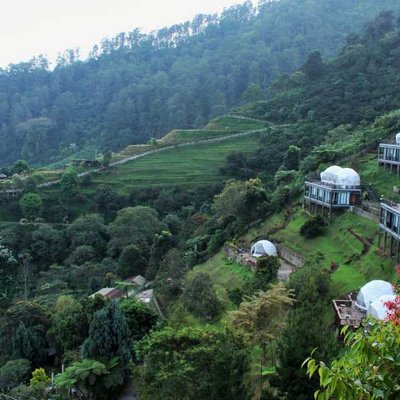 Damar Langit Resort