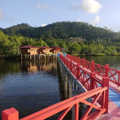 dermaga budo