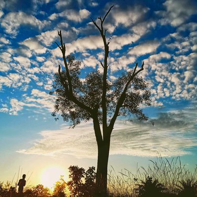 মেঘাচ্ছন্ন আকাশ...